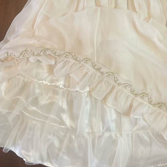 Chasing Fireflies Fancy Dress - Picture 4 of 8